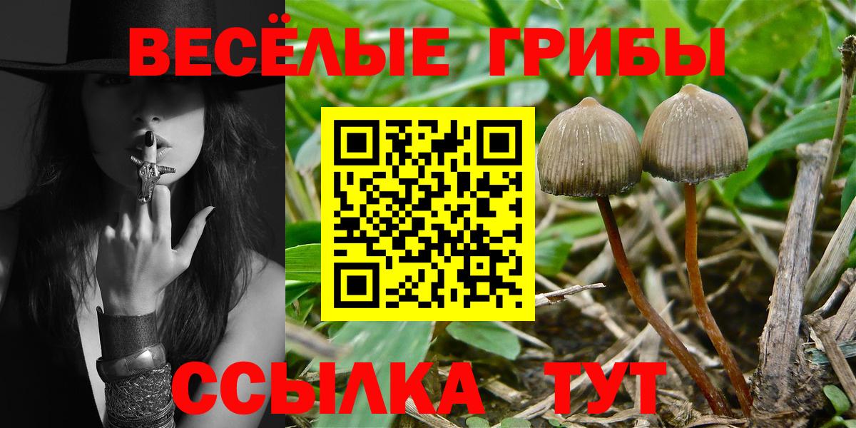 Галлюциногенные грибы мухоморы Ивантеевка
