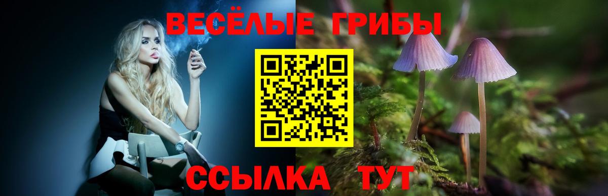 Ивантеевка  Псилоцибиновые грибы мухоморы  Вход с VPN  Галлюциногенные грибы мухоморы 